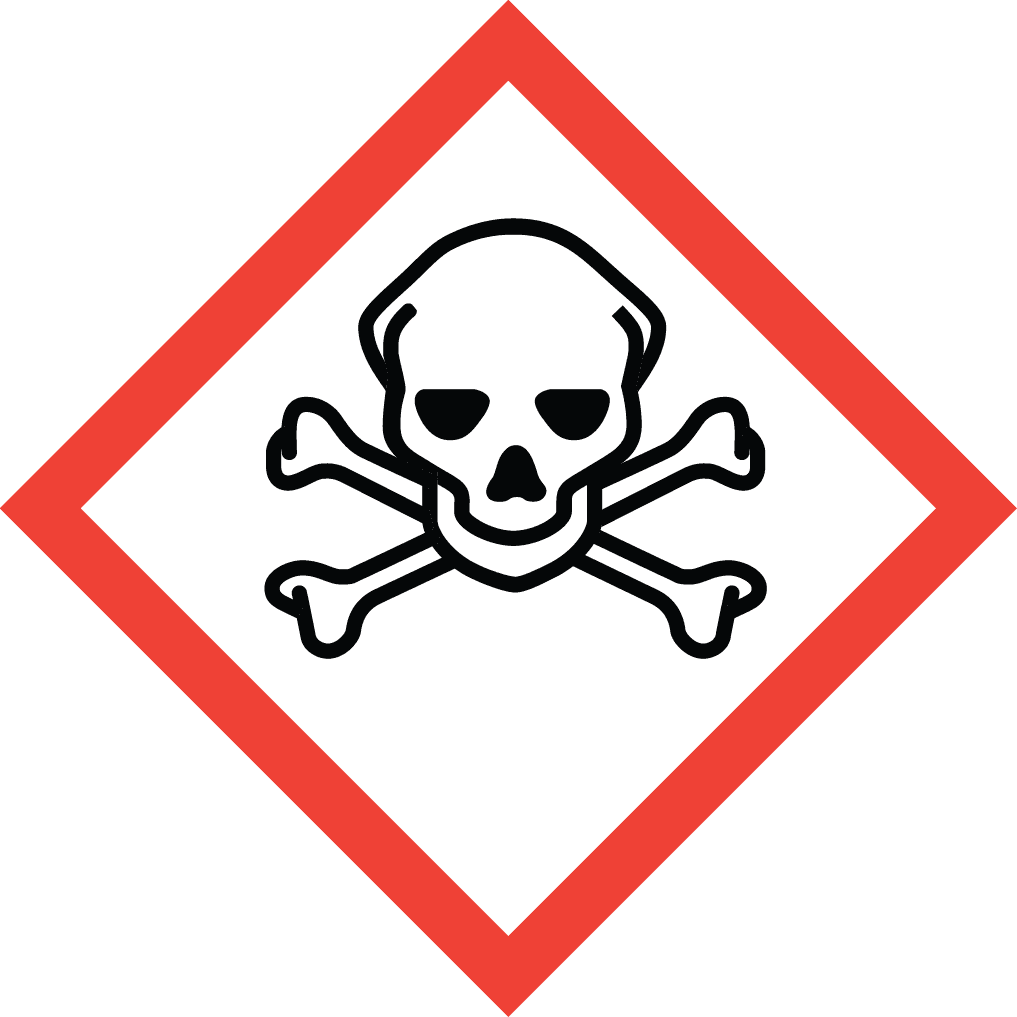 Skull and Crossbones Pictogram